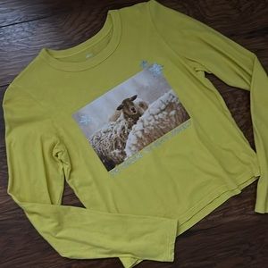 Aerie Cropped Long Sleeve Tee